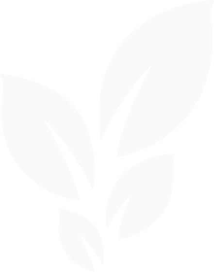 DCC Leaf Logo